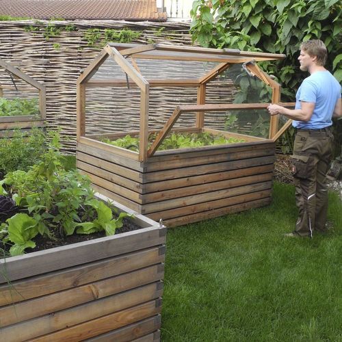 Gewächshaus für Hobbygärten - Gartenfrosch GmbH - einkuppelig / Lärche / mit Doppelverglasung