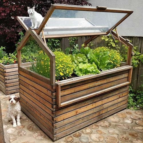 Gewächshaus für Hobbygärten - Gartenfrosch GmbH - einkuppelig / Lärche / mit Frühbeet