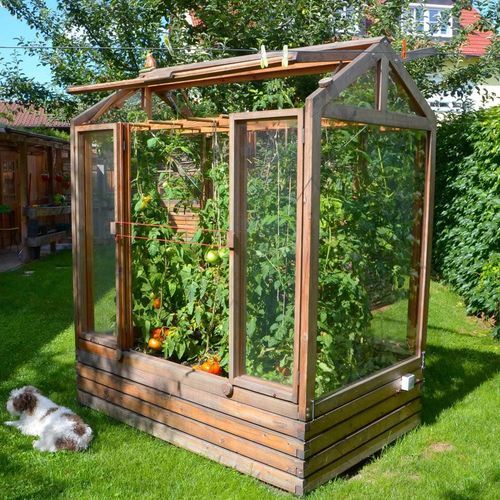 Gewächshaus für Hobbygärten - Gartenfrosch GmbH - einkuppelig / Lärche / mit Doppelverglasung