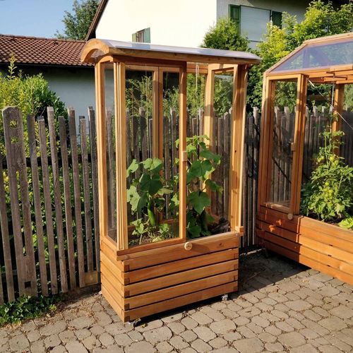 Gewächshaus für Hobbygärten - Gartenfrosch GmbH - einkuppelig / Lärche / für Tomaten