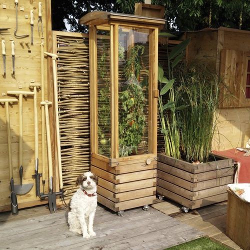 Gewächshaus für Hobbygärten - Gartenfrosch GmbH - einkuppelig / Lärche / für Tomaten