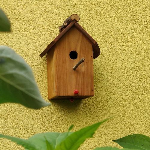 Lärche-Vogelhäuschen - Gartenfrosch GmbH - wandmontiert