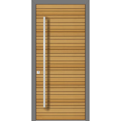Eingangstür - HS941 - DOORS, d.o.o. - Stahl / Lärche / einflügelig