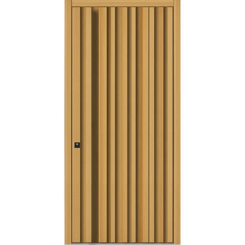 Eingangstür - HS940 - DOORS, d.o.o. - Lärche / einflügelig / modern