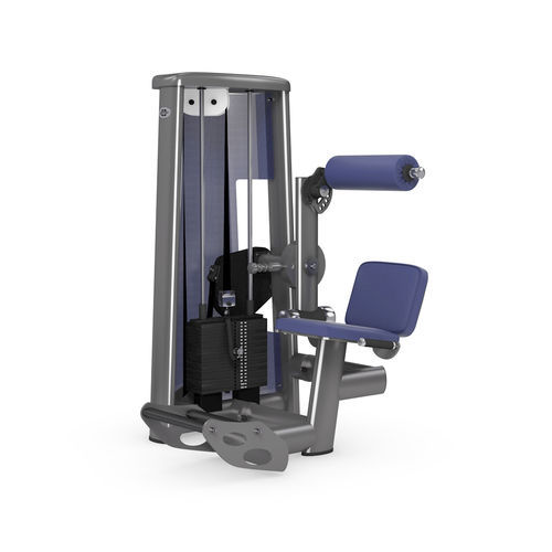 Rücken-Fitnessgerät - 3007 - gym80 International GmbH - für den Innenraum / für Privatgebrauch / für Gewerbegebrauch