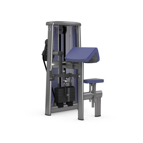 Bizeps-Fitnessgerät - 3010 - gym80 International GmbH - für den Innenraum / für Gewerbegebrauch