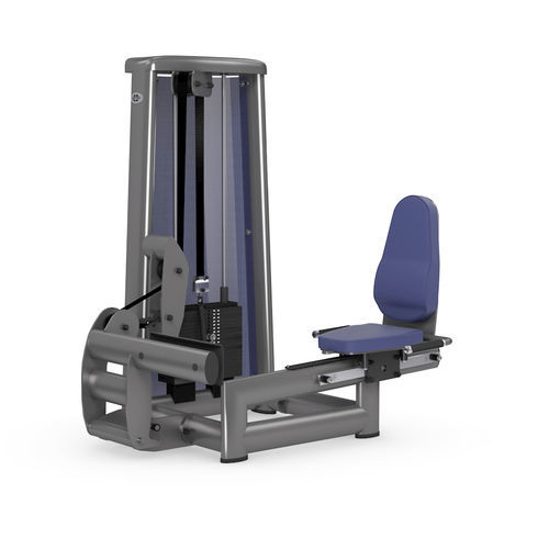 Rücken-Fitnessgerät - 3027 - gym80 International GmbH - Wade / für den Innenraum / für Gewerbegebrauch