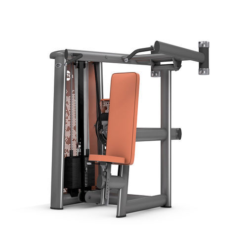 Rücken-Fitnessgerät - 5015 - gym80 International GmbH - für den Innenraum / für Gewerbegebrauch