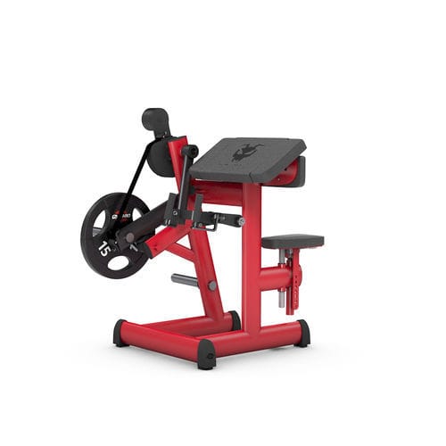 Bizeps-Fitnessgerät - 4338N - gym80 International GmbH - für den Innenraum / für Gewerbegebrauch