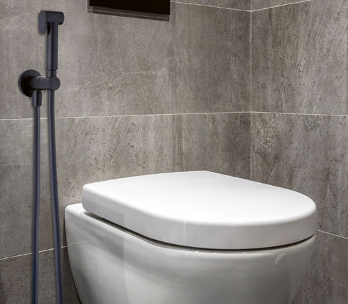 Handdusche für Toilette - 54505 - Grandsire Paris - rund / verchromter Messing / Edelstahl
