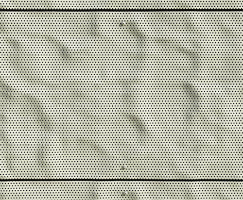 Innenwandverkleidung - T 2/5 - Fielitz - für Außenbereich / Kupfer / Stahl