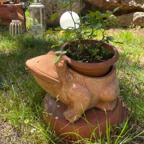 Terrakotta-Übertopf - Rana Aperta - cestenoli srl