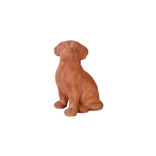 Terrakottaskulptur - Cane Labrador - cestenoli srl - für Außenbereich / handgefertigt / Garten