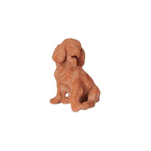 Terrakottaskulptur - Cane Cocker - cestenoli srl - für Außenbereich / handgefertigt / Garten