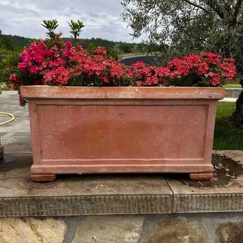 Terrakotta-Pflanzkübel - Liscia Impruneta - cestenoli srl - rechteckig / handgefertigt / klassisch