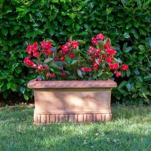 Terrakotta-Pflanzkübel - Baccellata Impruneta - cestenoli srl - Beton / handgefertigt / klassisch