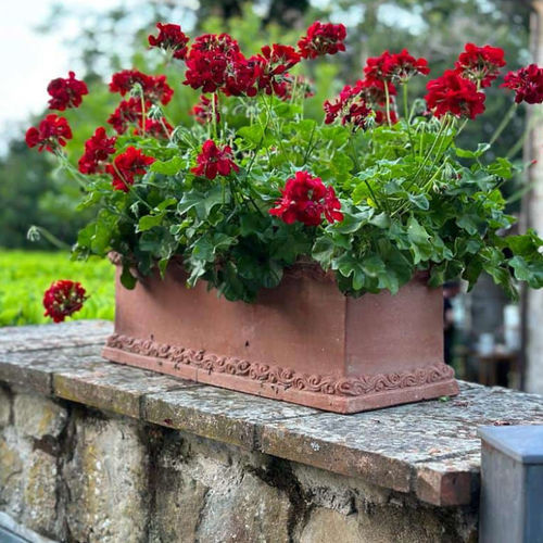Terrakotta-Pflanzkübel - con Decorazione Greca - cestenoli srl - rechteckig / handgefertigt / klassisch