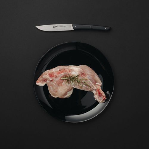 Steakmesser mit Kunststoffgriff - COLOR SET OF 4 BLACK - Berkel - mit Edelstahlklinge