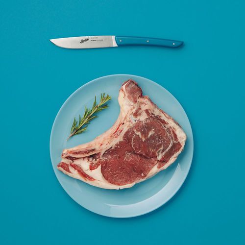 Steakmesser mit Kunststoffgriff - COLOR SET OF 4 PETROLEUM BLUE - Berkel - mit Edelstahlklinge