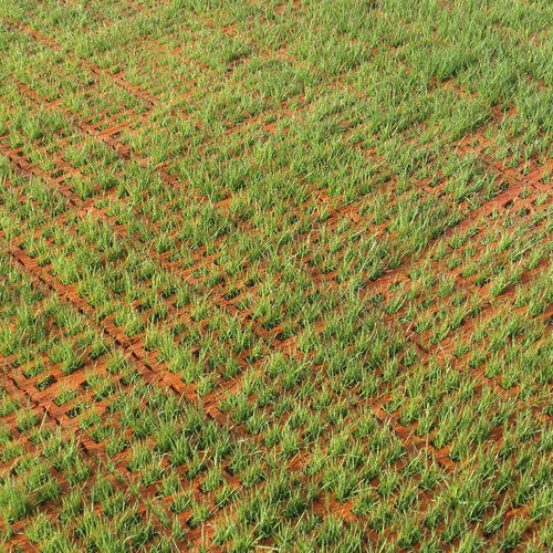 Keramik-Pflasterstein - Vermelho Vulcânico - Vale de Gândara - Außen / für Garten / zur Drainage