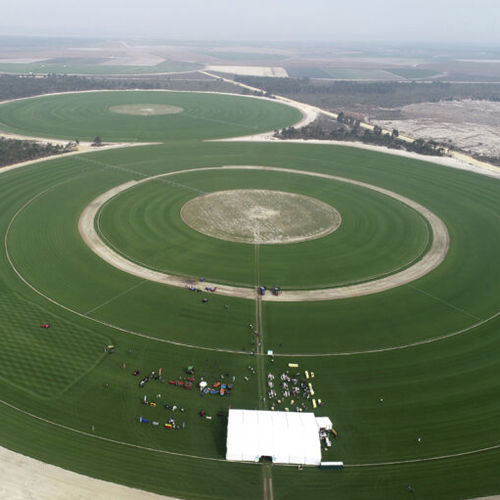Naturrasen - Zoysia Lazer - Novogreen - Rollen / für Sportplätze / Für Landschaftsbau