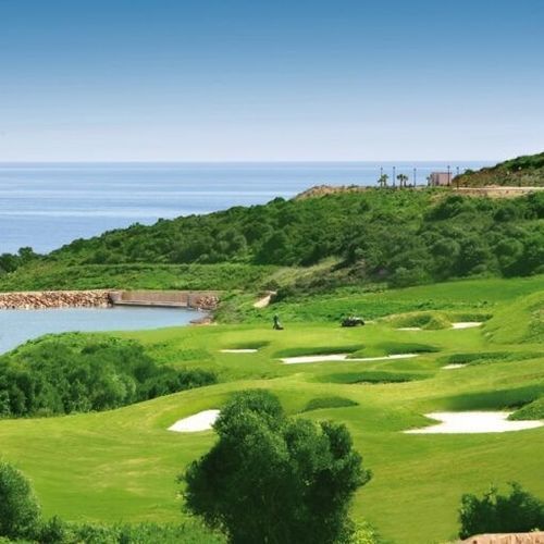 Naturrasen - Bermuda Latitude36 - Novogreen - Rollen / für Sportplätze / für Garten