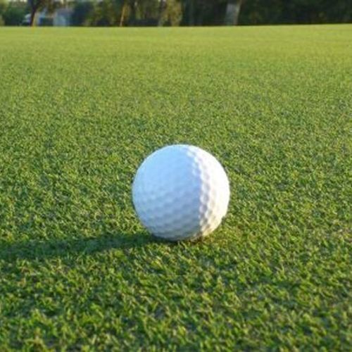 Naturrasen - BERMUDA ULTRADWARF SUNDAY - Novogreen - Rollen / für Sportplätze / für sportliche Aktivität