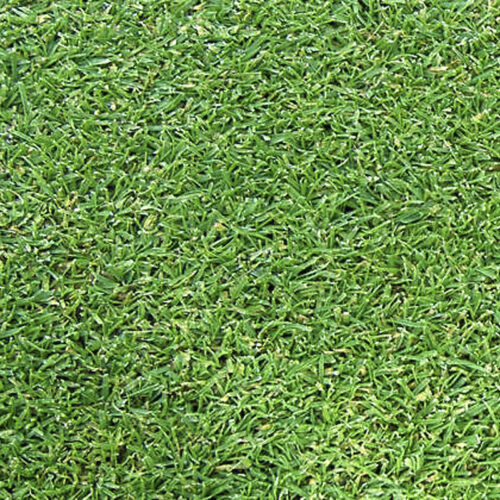Naturrasen - AGROSTIS L93 - Novogreen - Rollen / für Sportplätze / für Fußballfeld