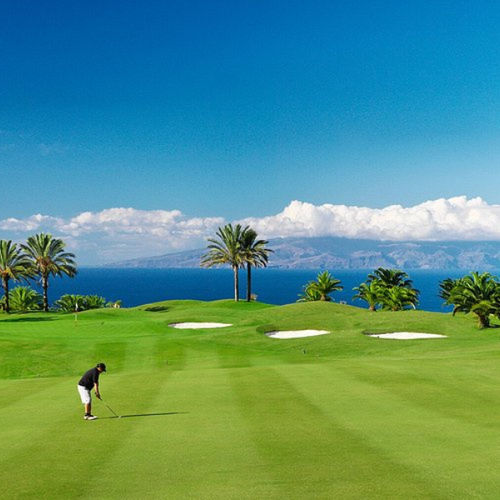 Naturrasen - Paspalum PlatinumTE - Novogreen - Rollen / für öffentliche Bereiche / für Garten