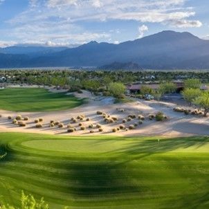 Naturrasen - Bermuda ultradwarf TifEagle - Novogreen - Rollen / für Sportplätze / für sportliche Aktivität