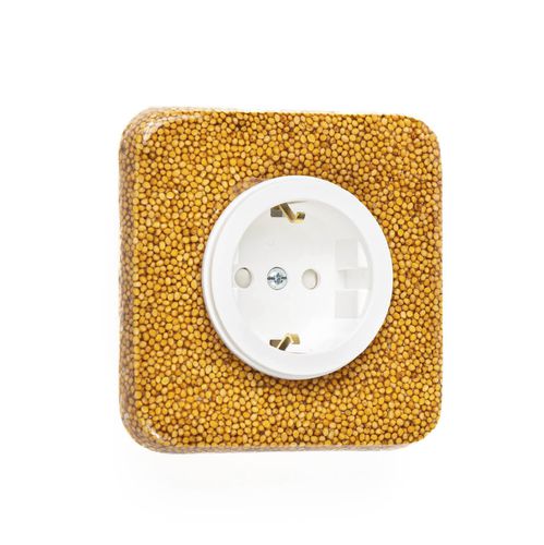 USB-Steckdose - MUSTARD SEEDS - Ornatus - Mehrfach / wandmontiert / Einbau