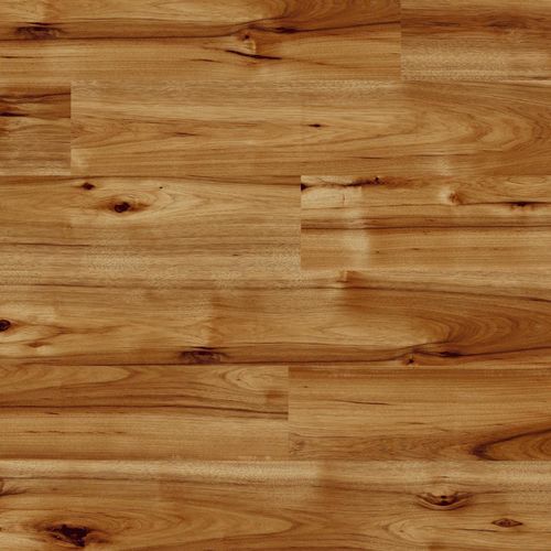 Laminatboden aus Ökolabel-Hickory - BRAVO - lesna - schwimmend / Holzoptik / Lasuroptik