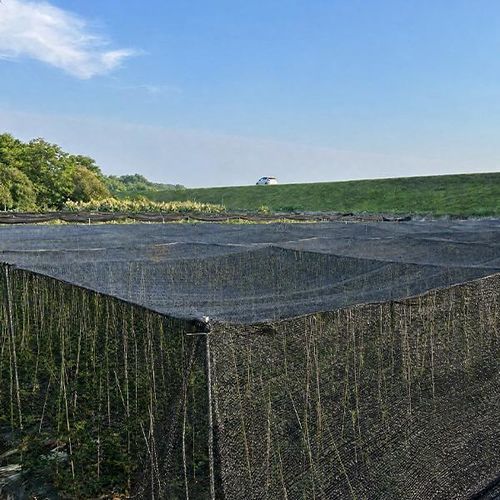 Polyethylen-Schattennetz - Zhejiang Hengfeng Shanding Products Co., Ltd. - für Gebäude
