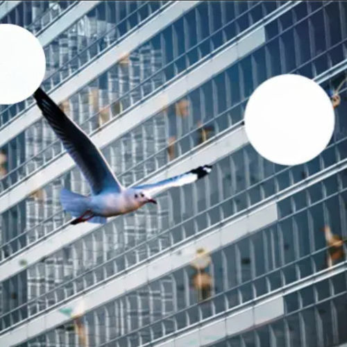 Sonnenschutzglasscheibe - 4BIRD&reg; - Saint Gobain Glass France - isolierend / Thermo-Isolier / Solar