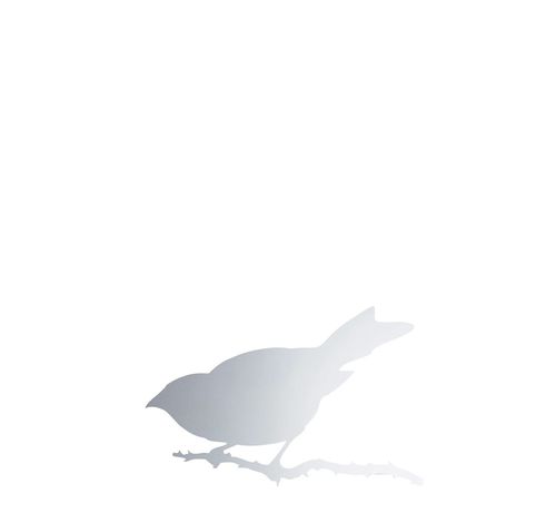 Wandmontierter Spiegel - SNIJDER BIRD - DRIADE - modern / polierter Edelstahl / silberfarben