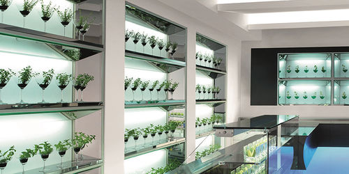 Wandmontiertes Regal - PRISMA - IFI - modern / Edelstahl / Glas