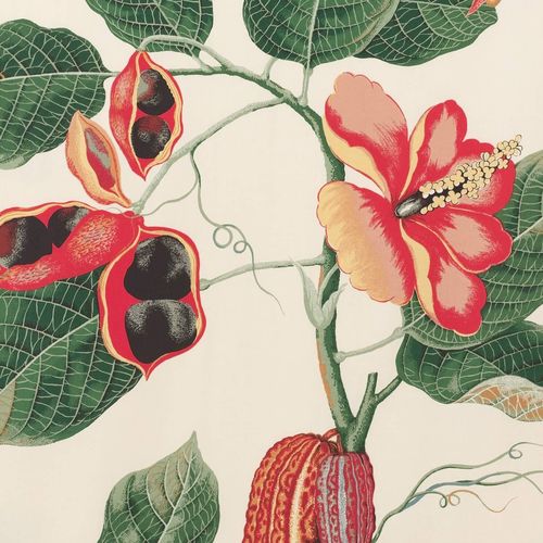 Moderne Tapete - NAKAI  - PIERRE FREY tissus - Baumwolle / Blumenmotiv / bedruckt