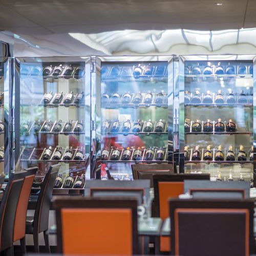 Weinkühlschrank für Bar - PULLMAN MONTPARNASSE - PROVINTECH - freistehend / Edelstahl / verglast