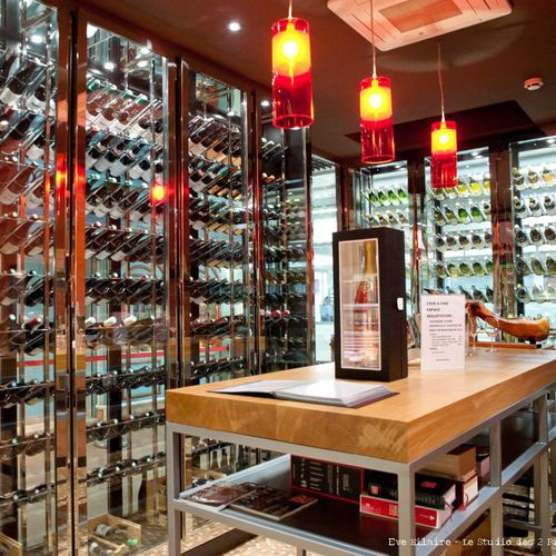 Weinkühlschrank für Restaurants - LOUIS M - PROVINTECH - Einbau / Edelstahl / Glas