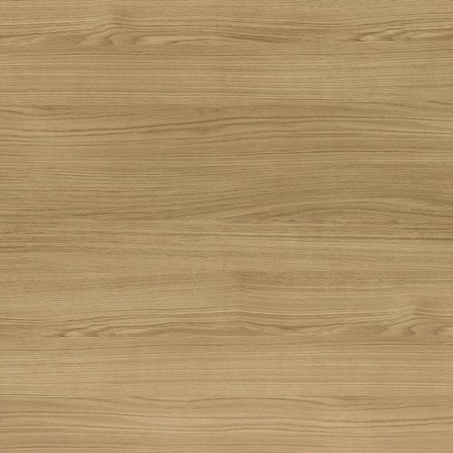 Holzoptik-Dekorlaminat - CHÊNE ADRIAN - Polyrey - glatt / hochbelastbar / HPL