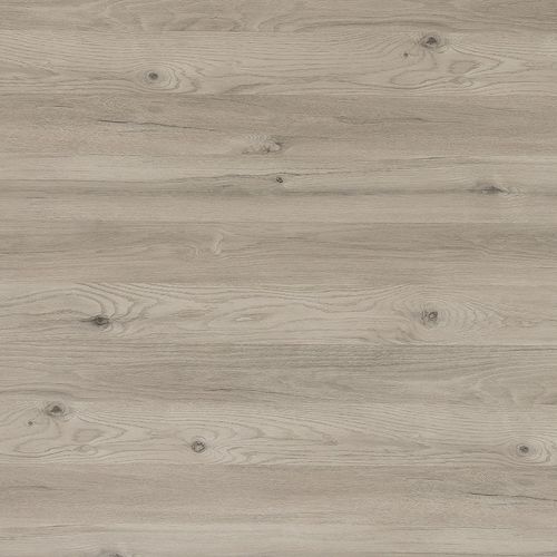 Holzoptik-Dekorlaminat - CHÊNE D'ARGENT - Polyrey - glatt / hochbelastbar / HPL
