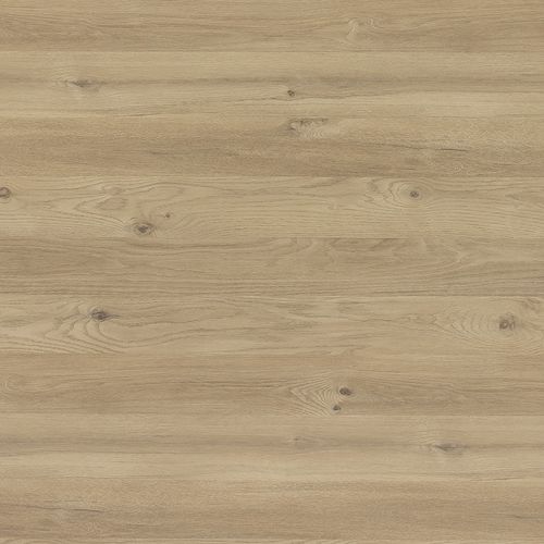 Holzoptik-Dekorlaminat - CHÊNE DES MASSIFS - Polyrey - gebürstet / glatt / hochbelastbar
