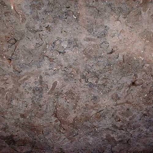 Marmor-Steinplatte - BLEU DE SAVOIE - FURRER - für Innenausbau / poliert / braun