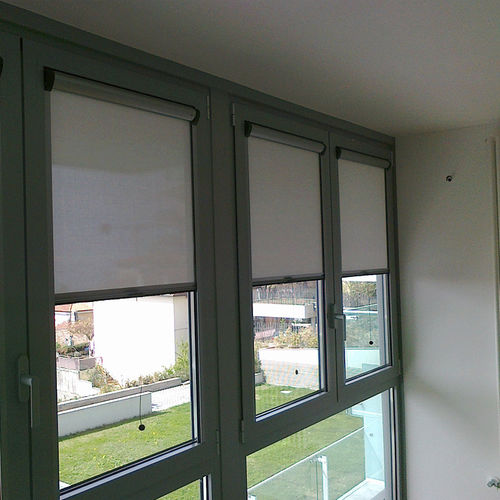 Roll-Insektenschutz - ZANZY - Dalex - für Fenster