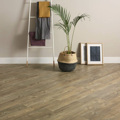 Vinyl-Bodenbelag - FIRST : DRY CEDAR  - Amtico International - für den Innenraum / für Wohnhaus / für professionellen Gebrauch