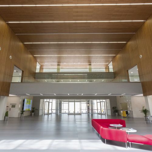 Holzfurnier-Deckensystem - Hunter Douglas Architectural - in