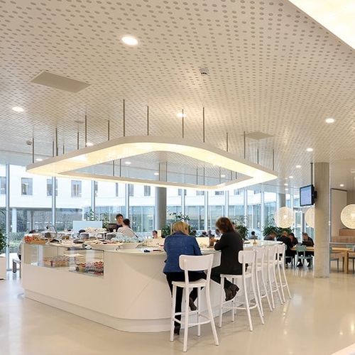 Metallzwischendecke - Luxalon® Planks - Hunter Douglas Architectural - aus Fliesen / Platten / für Büro