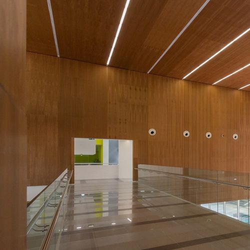 Akustik-Wandverkleidung - Derako® Veneered Panels Wall - Hunter Douglas Architectural - Innenbereich / Holzfurnier / glatt