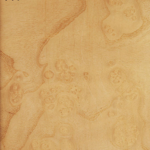Holzfurnier - ASH BURL - Decospan - für Möbel / Paneel / für Innenausbau