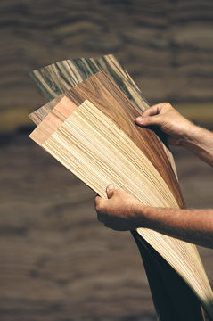 Holzfurnier - DECOVENEER - Decospan